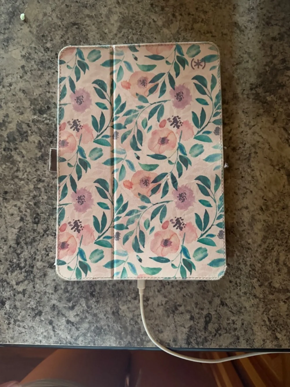 Apple iPad ninth generation